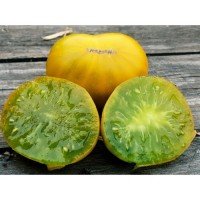 Tomato seeds Dwarf Amy's Ohio 10 seeds