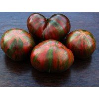 Tomato seeds Dwarf Dipper's Delight 10 seeds