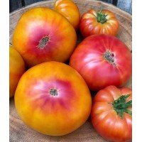 Tomato seeds Dwarf Caitydid 10 seeds