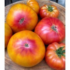 Tomato seeds Dwarf Caitydid 10 seeds