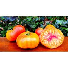 Tomato seeds Dwarf Suz's Beauty 10 seeds