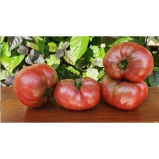 Tomato seeds Gnome Summer wine 10 seeds