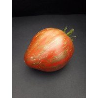 Tomato seeds Dwarf Purple Heartthrob 10 seeds