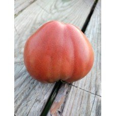 Tomato seeds Dwarf Buddy's Heart 10 seeds