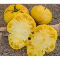 Tomato seeds Dwarf Walter's Fancy 10 seeds