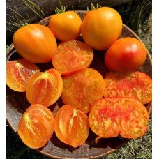 Tomato seeds Dwarf Gloria's Treat 10 seeds