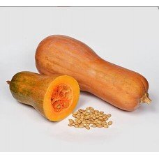 Pumpkin seeds Share 5 gr.