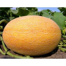 Melon seeds Pineapple 3 g