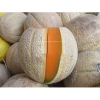 Melon seeds Sanremo 3 g
