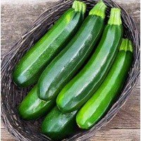 Zucchini seeds Aeronaut 15 seeds