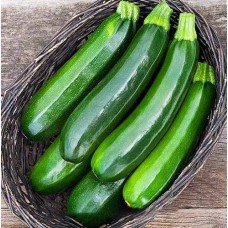 Zucchini seeds Aeronaut 15 seeds