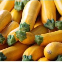 Zucchini seeds Zolotinka 10 seeds