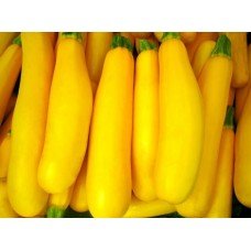 Zucchini seeds Svitozar 10 g