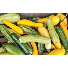 Zucchini seeds Mix of varieties 5 g