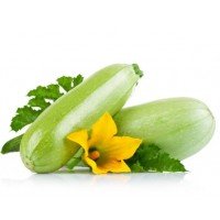 Zucchini seeds Koldun 10 seeds