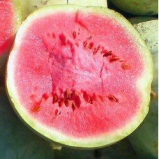 Watermelon seeds Chumak 3 g