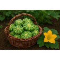 Squash seeds Zebra 15 seeds