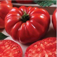 Seeds of large-fruited salad tomato American ribbed 30 seeds