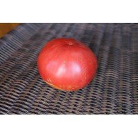 Large-fruited salad tomato seeds Ursa Major 30 seeds