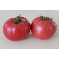 Large-fruited salad tomato seeds Julia's Child 10 seeds