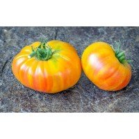 Seeds of large-fruited salad tomato Lucky Cross 15 seeds