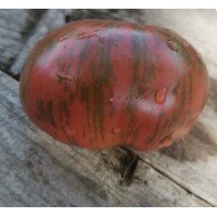 Seeds of large-fruited salad tomato Tai Dai Fred 15 seeds