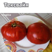 Large-fruited salad tomato seeds Texwine 30 seeds
