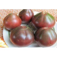 Seeds of large-fruited salad tomato Chocolate Amazon 15 seeds