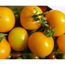 Tomato seeds Nezhdanna 30 seeds