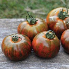 Tomato seeds 