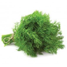 Seeds Dill Bush 2 g