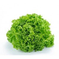 Seeds Salad Snowflake 1 g