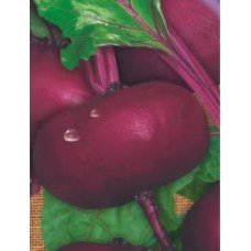 Egyptian flat beet seeds 15 g