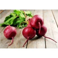 Beet seeds Bordeaux 15 g