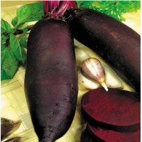 Beet seeds Cylinder 10 g