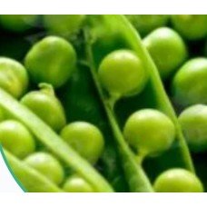 Pea seeds Sweet 25 g