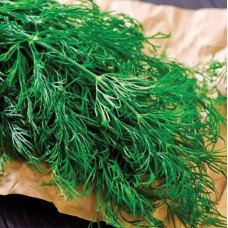 Dill seeds Alligator 2 g