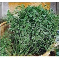 Dill seeds Mammoth 2 g