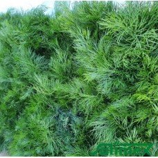 Dill seeds Odorous 2 g