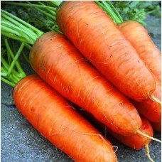 Carrot seeds Boltex 10 g