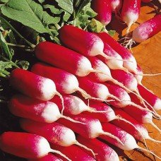 Radish seeds 18-Dnevka 3 g