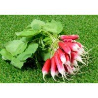 Radish seeds French Breakfast 3 g