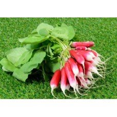 Radish seeds French Breakfast 3 g