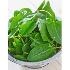 Sorrel seeds Broadleaf 1 g