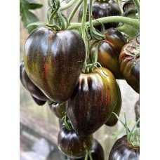 Tomato seeds Emerald caramel Elena 5 seeds