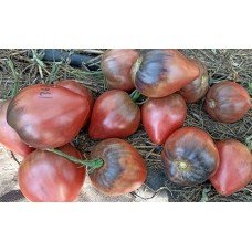 Tomato seeds Cherry Syrup 5 seeds