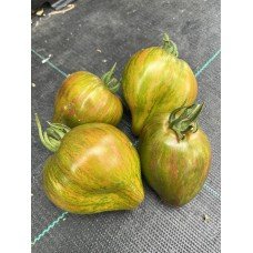 Tomato seeds Marmalade Temptation 5 seeds