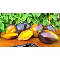 Tomato seeds Ocher Veil 5 seeds