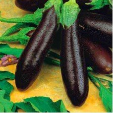 Eggplant seeds Alekseevsky 30 seeds