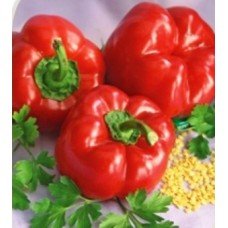 Pepper seeds Alexander 20 seeds